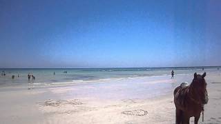 preview picture of video 'Djerba Seabel Rym Beach Settemari'