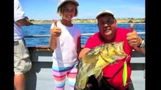 preview picture of video 'Sea Star Charters: Oceanside Sportfishing'