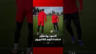 الأسود يواصلون استعداداتهم لمواجهة الكاميرون في ربع نهائي كأس أمم إفريقيا thumbnail