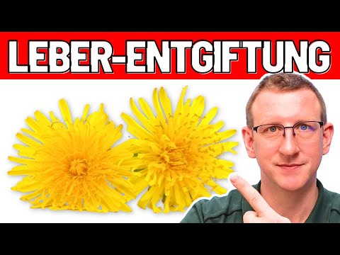 Leber Entgiftung -  die 3 BESTEN Nahrungsergänzungsmittel!