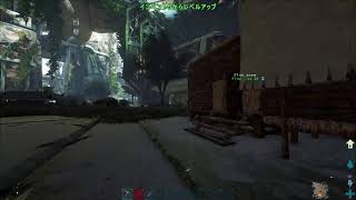初心者が行くark