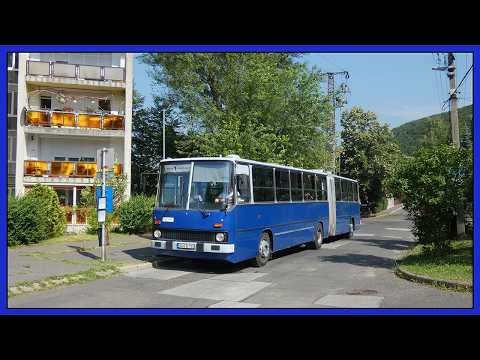 18 év után járt újra Ikarus 280 közforgalomban Berekalján, 2024 nyarán