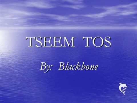 Hmong Love Song by Blackbone - Tseem Tos
