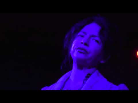 ELYSIAN FIELDS - Live in Poland 2024 (Full show 4K)