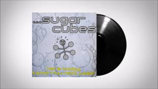 The Sugarcubes - Hot Meat