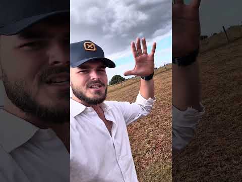 Chácara de 2.5 alqueires município de Petrolina de Goiás olha que riqueza vida na roça 62-98500-8436