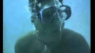 Download lagu Zanzibar Feb 2003 mp3 Download lagu Zanzibar Feb 2003 mp3