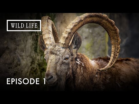 Rulers of the Peaks and Dancers of the Plains | Wild Portugal | Episode 1