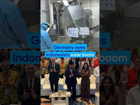 Indonesia's solar boom: Germany eyes a growing green energy market | DW News