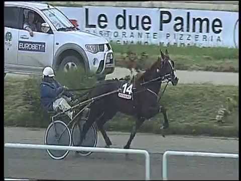 Trotto 02/06/2016 - 2° corsa