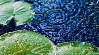 JANET KAY - 'Float Along'