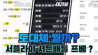 서플,서배,프베가 뭘까?? (알려드림!)