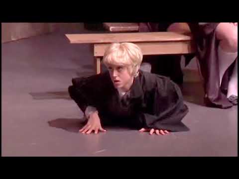 A Very Potter Sequel fan trailer frame with StarKid cast in Hogwarts costumes on stage