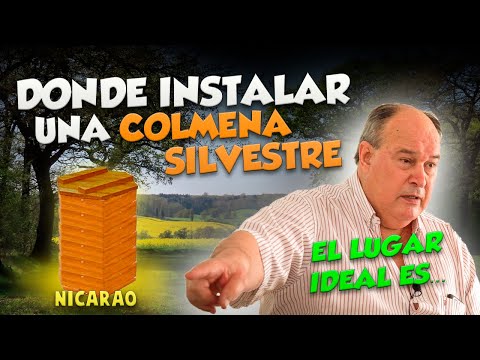 Part 13 | THE BEST PLACE TO INSTALL A BEEHIVE NICARAÑO - PermaBeekeeping Course by OSCAR PERONE