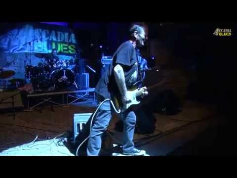 (OFFICIAL) Paul Warren band @ Accadia Blues 2014 - 