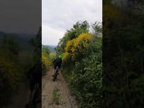 MTB - LE LINEE DI LUCA - discesa Cimitero Belforte all'isauro