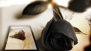 CARTOLA - Sei chorar