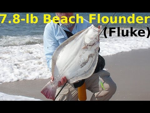 How to Catch Flounder from the Beach - 7.8-Pound Surf Fluke!
