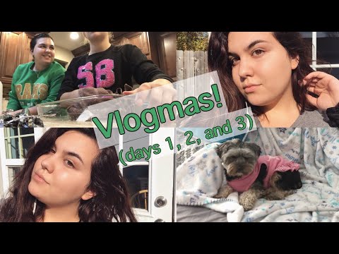 VLOGMAS: The First Few Days of December 2017!