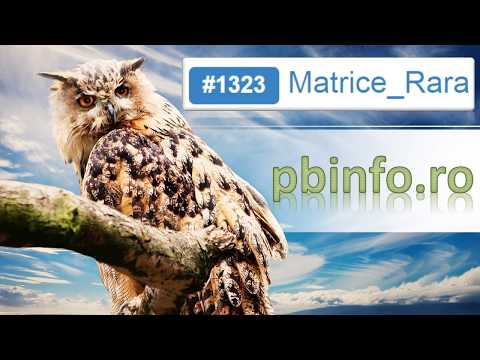 Limbajul C++ Problema #1323 Matrice_Rara de pe site-ul pbinfo.ro