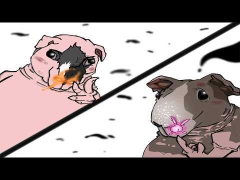 มึงดูแฟนคลับทำให้พวกกู 55555