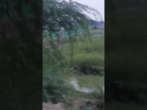 Ek journey shiv mandir jwar pothe