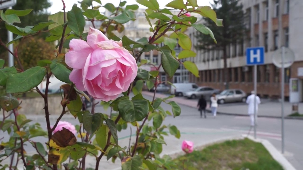 Правителството отпусна 1 милион лева за нуждите на Многопрофилната болница в Смолян