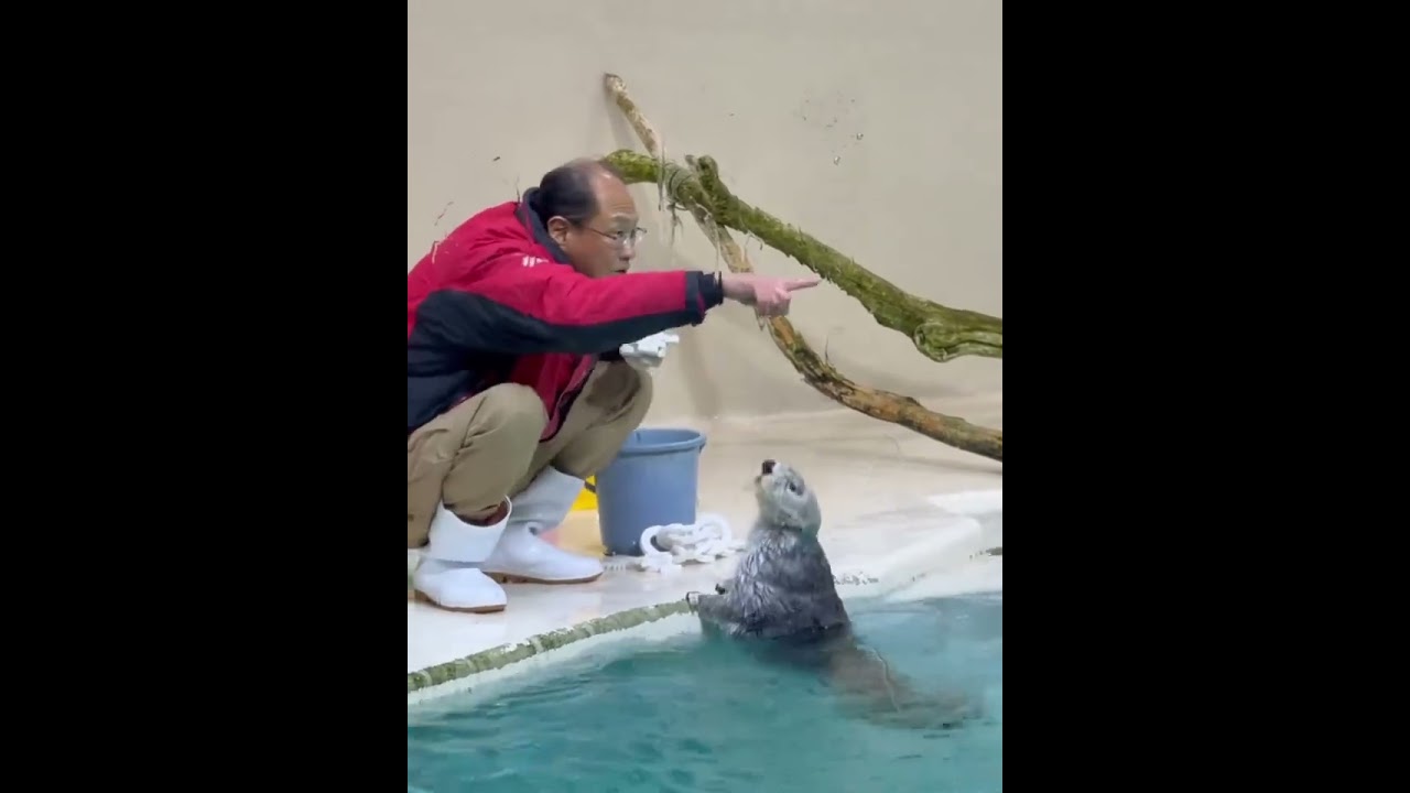 After get off work, I volunteered to help Grandpa tidy up the props, and he rewarded me with ice ...