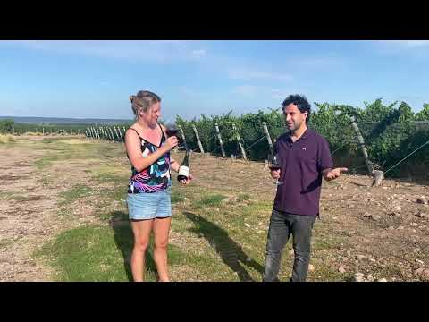 Tasting Bodega Argento's Single Vineyard Cabernet Franc with winemaker Juan Pablo Murgia