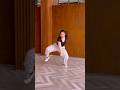 AZUL GuruRandhawa Anshika Pandey Yasshkadamm Choreo Trending Dance Cover By Meghna H