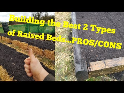 Building the Best and Easiest 2 Types of raised.