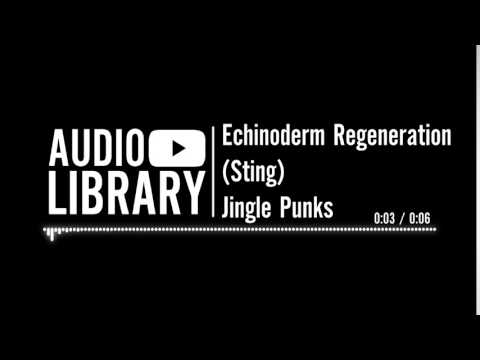 Echinoderm Regeneration (Sting) - Jingle Punks | Music for intros