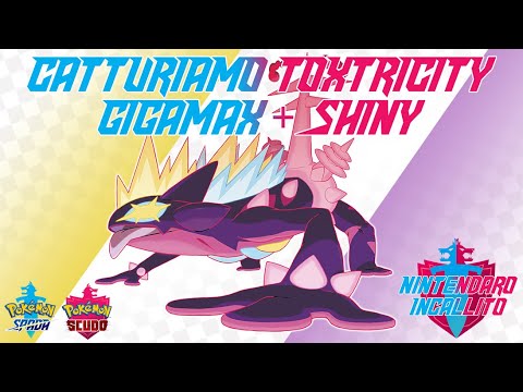 Catturiamo Toxtricity Gigamax + Shiny✨