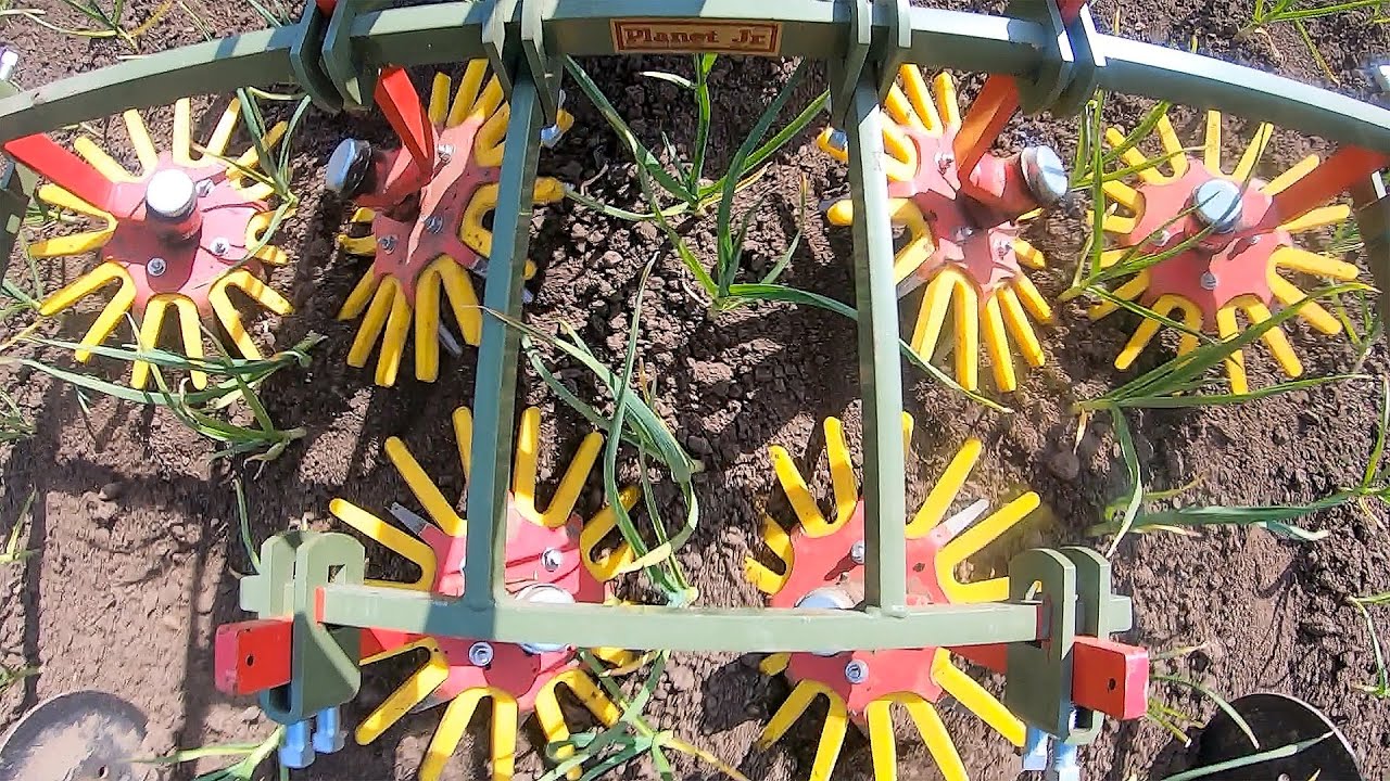 3-Row Setup: Finger Weeding Garlic With The Tilmor Power Ox - Two Wheel Tractor