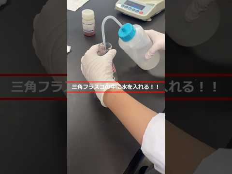 社会福祉学科 4年生の卒業研究は何するの？～栄養学科編～#shorts #淑徳大学