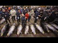 New Location For The World S Largest Fish Market