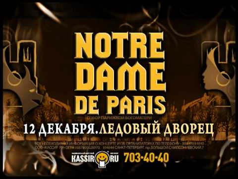Звезды мюзикла Notre Dame de Paris в Петербурге!