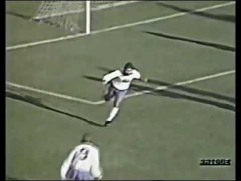 Edmar Bernardes (Pescara) - 11/12/1988 - Fiorentina 3x2 Pescara - 1 gol