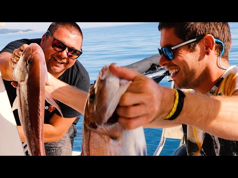 Mljet, Odysseus Island | Croatia