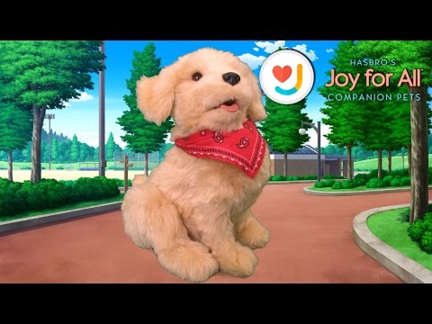 Joy for All Companion Pup demonstration