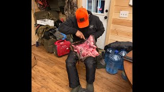 Joe Holland is live! Q & A for Subscribers . BEAVER Eatin