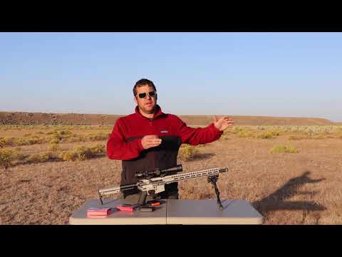 It'Ll Fit in Almost an Ar-15