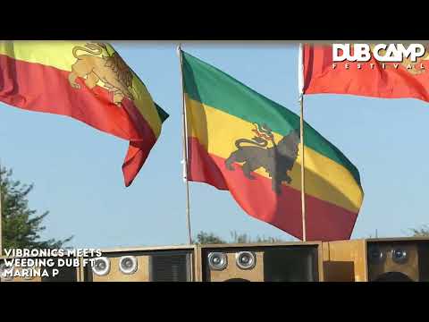 𝔻𝕌𝔹 ℂ𝔸𝕄ℙ 𝔽𝕖𝕤𝕥𝕚𝕧𝕒𝕝 ₂₀₂₂ | VIBRONICS ▶ "30 Strings" (feat. Lance Hume) [7" SCOOPS]