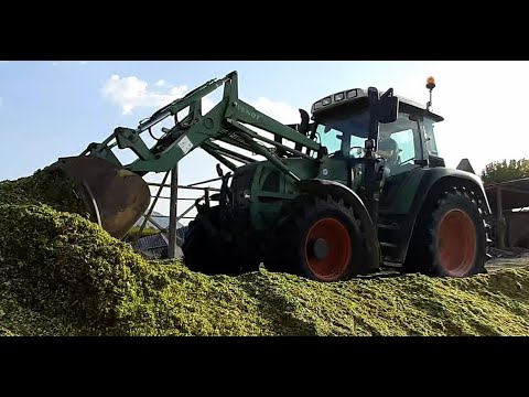 Fendt 409 Farmer Vario in Action: Corn Silage Leveling Mastery