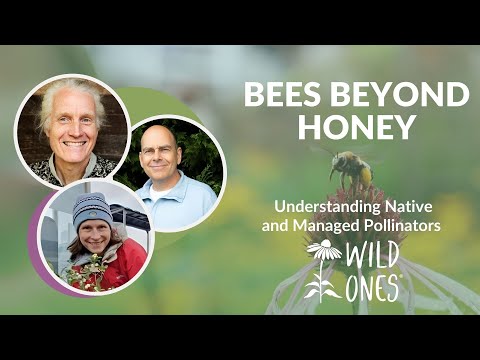 Bees Beyond Honey: Understanding Native and Managed Pollinators