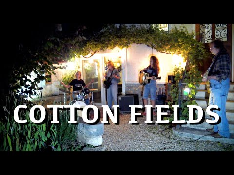 Cotton Fields - Creedence Clearwater Revival Full Cover with Dominique Cotten