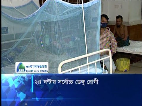 রাজধানী জুড়ে ক্রমাগত বাড়ছে এডিস মশা | ETV News