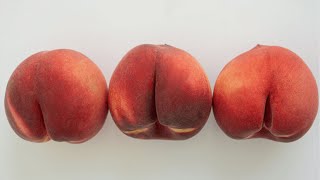 r/Bestof Boyfriend Went to Jail for My Butt
