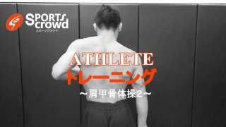 【Athlete トレーニング】肩甲骨の可動域と連動を高める体操②【菊野克紀】