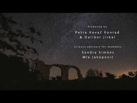 Krka, Wild Nature: Mammals